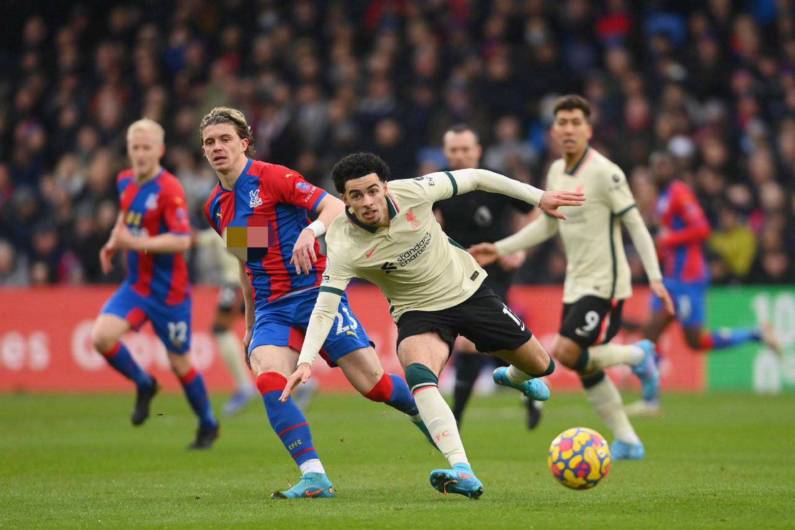 而阿尔克马 而阿尔克马